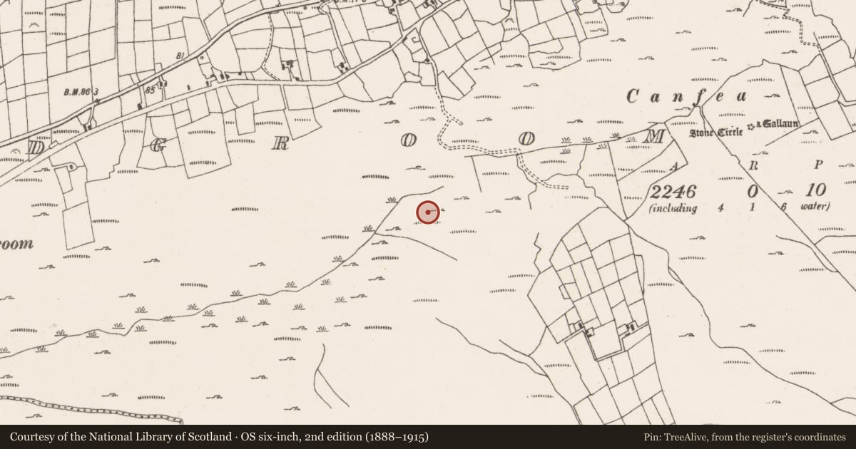 Ordnance Survey six-inch map, 2nd edition (1888–1915) covering the location of Standing stone, Ardgroom Outward, County Cork, with a pin at the register's coordinates
