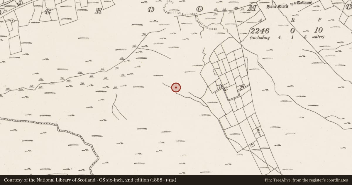 Ordnance Survey six-inch map, 2nd edition (1888–1915) covering the location of Hut site, Ardgroom Outward, County Cork, with a pin at the register's coordinates
