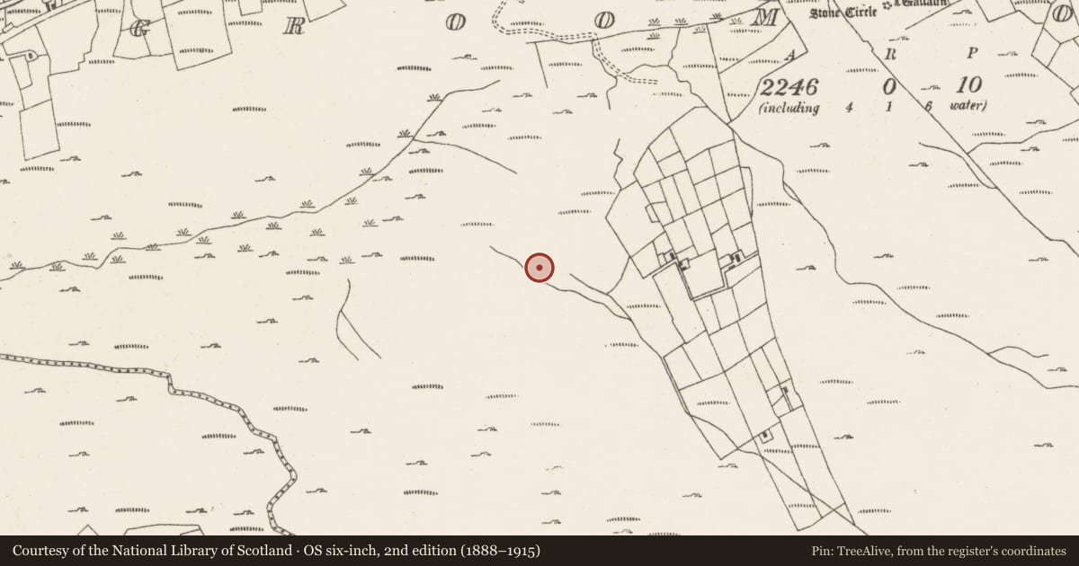 Ordnance Survey six-inch map, 2nd edition (1888–1915) covering the location of Cairn - unclassified, Ardgroom Outward, County Cork, with a pin at the register's coordinates