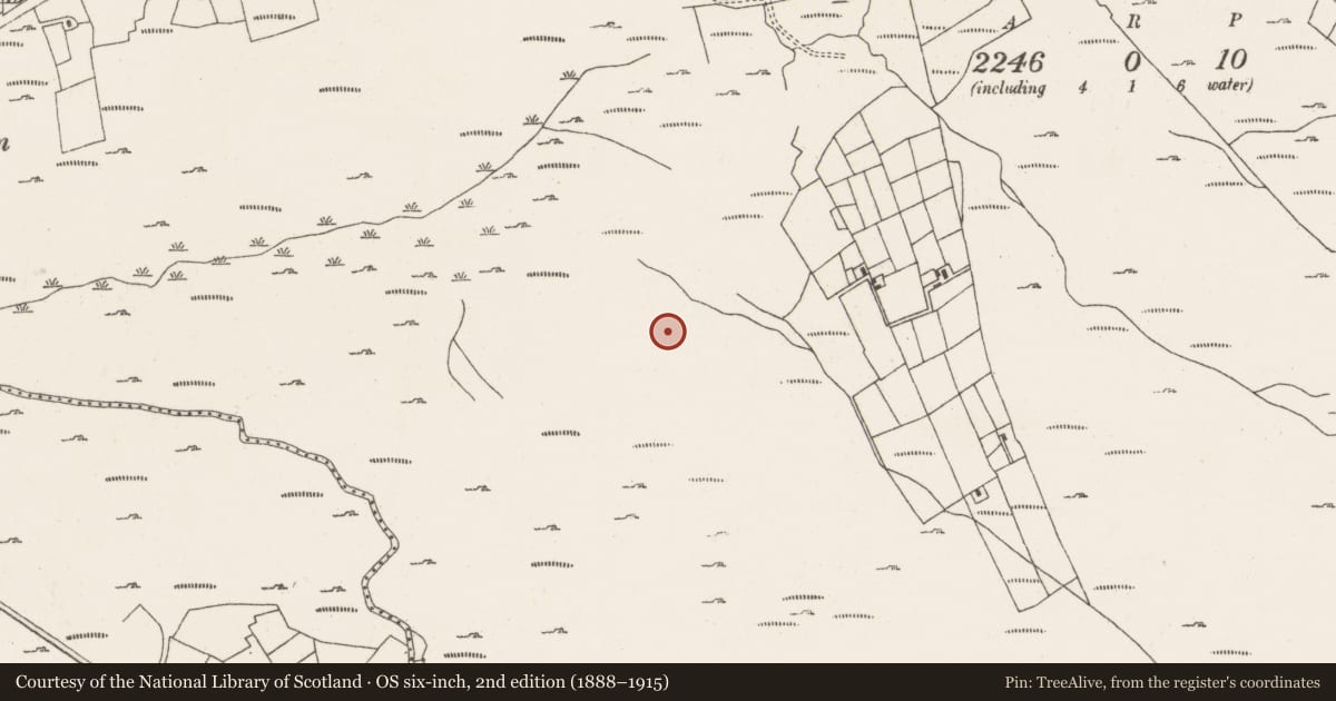 Ordnance Survey six-inch map, 2nd edition (1888–1915) covering the location of Hut site, Ardgroom Outward, County Cork, with a pin at the register's coordinates