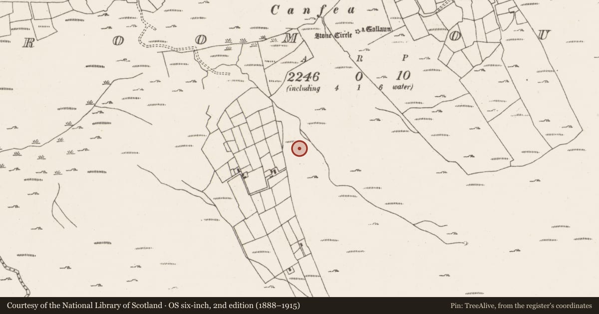 Ordnance Survey six-inch map, 2nd edition (1888–1915) covering the location of Ringfort - cashel, Ardgroom Outward, County Cork, with a pin at the register's coordinates