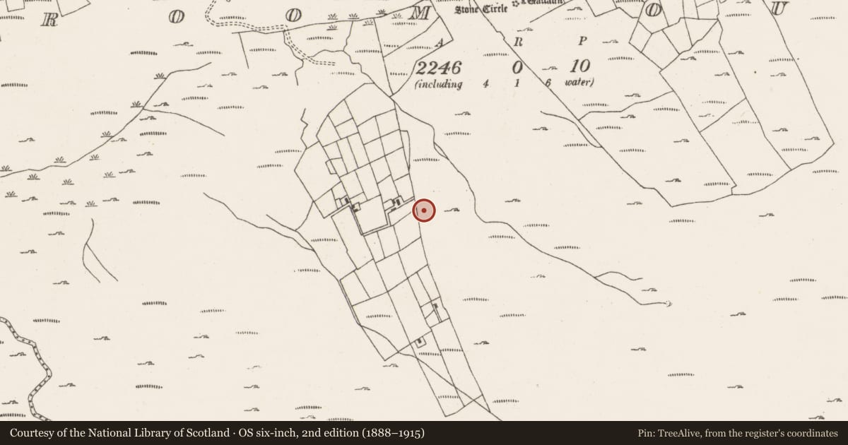 Ordnance Survey six-inch map, 2nd edition (1888–1915) covering the location of Burnt mound, Ardgroom Outward, County Cork, with a pin at the register's coordinates