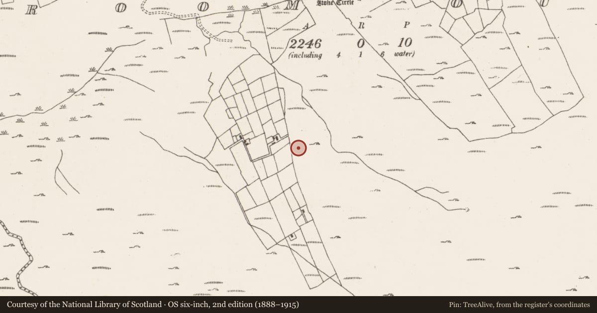 Ordnance Survey six-inch map, 2nd edition (1888–1915) covering the location of Fulacht fia, Ardgroom Outward, County Cork, with a pin at the register's coordinates