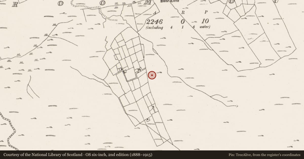 Ordnance Survey six-inch map, 2nd edition (1888–1915) covering the location of Fulacht fia, Ardgroom Outward, County Cork, with a pin at the register's coordinates