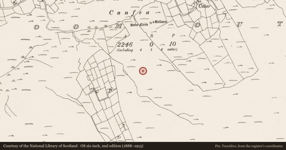 Ordnance Survey six-inch map, 2nd edition (1888–1915) covering the location of Fulacht fia, Ardgroom Outward, County Cork, with a pin at the register's coordinates