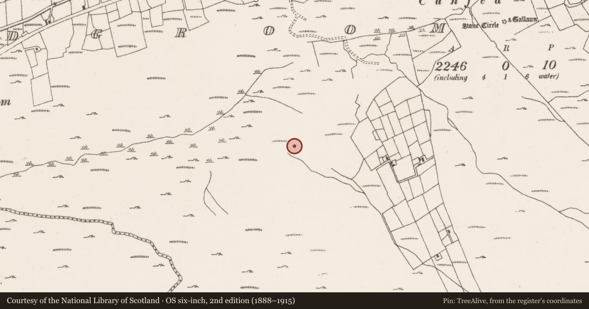 Ordnance Survey six-inch map, 2nd edition (1888–1915) covering the location of Field boundary, Ardgroom Outward, County Cork, with a pin at the register's coordinates