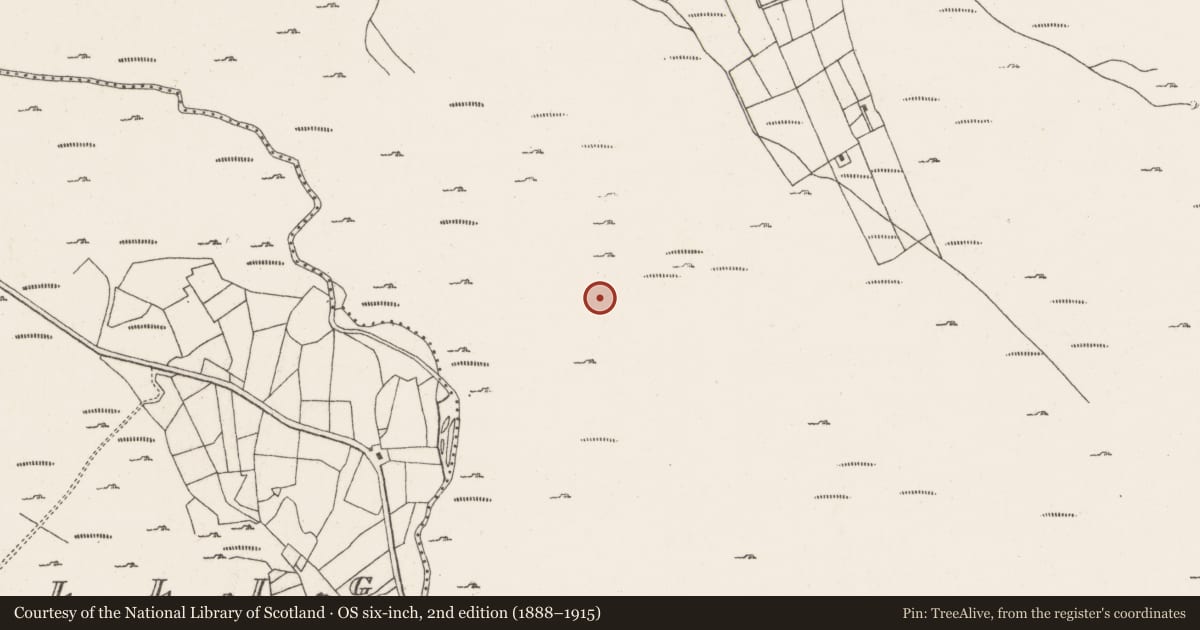 Ordnance Survey six-inch map, 2nd edition (1888–1915) covering the location of Cairn - unclassified, Ardgroom Outward, County Cork, with a pin at the register's coordinates