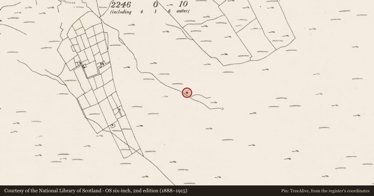 Ordnance Survey six-inch map, 2nd edition (1888–1915) covering the location of Fulacht fia, Ardgroom Outward, County Cork, with a pin at the register's coordinates