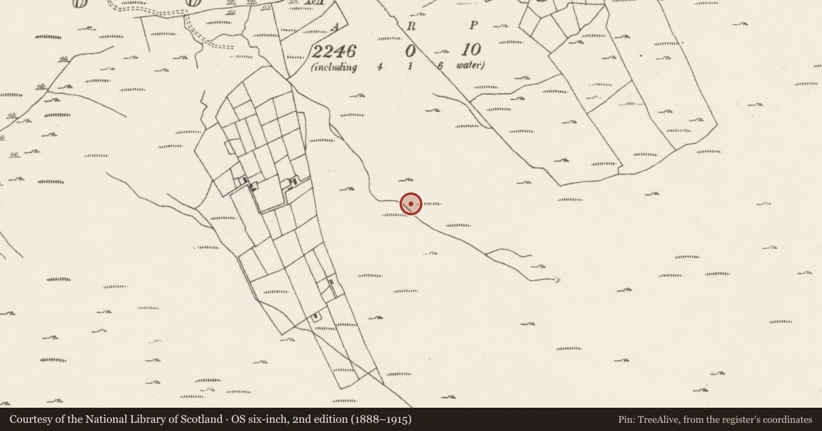 Ordnance Survey six-inch map, 2nd edition (1888–1915) covering the location of Fulacht fia, Ardgroom Outward, County Cork, with a pin at the register's coordinates