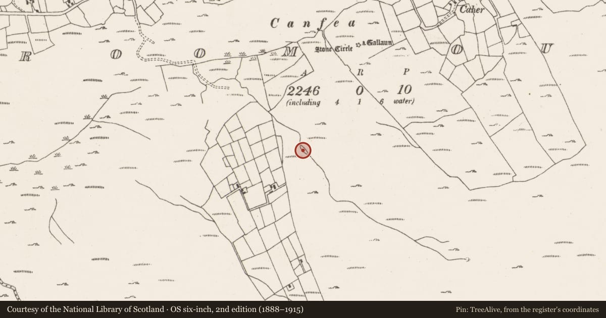 Ordnance Survey six-inch map, 2nd edition (1888–1915) covering the location of Burnt mound, Ardgroom Outward, County Cork, with a pin at the register's coordinates