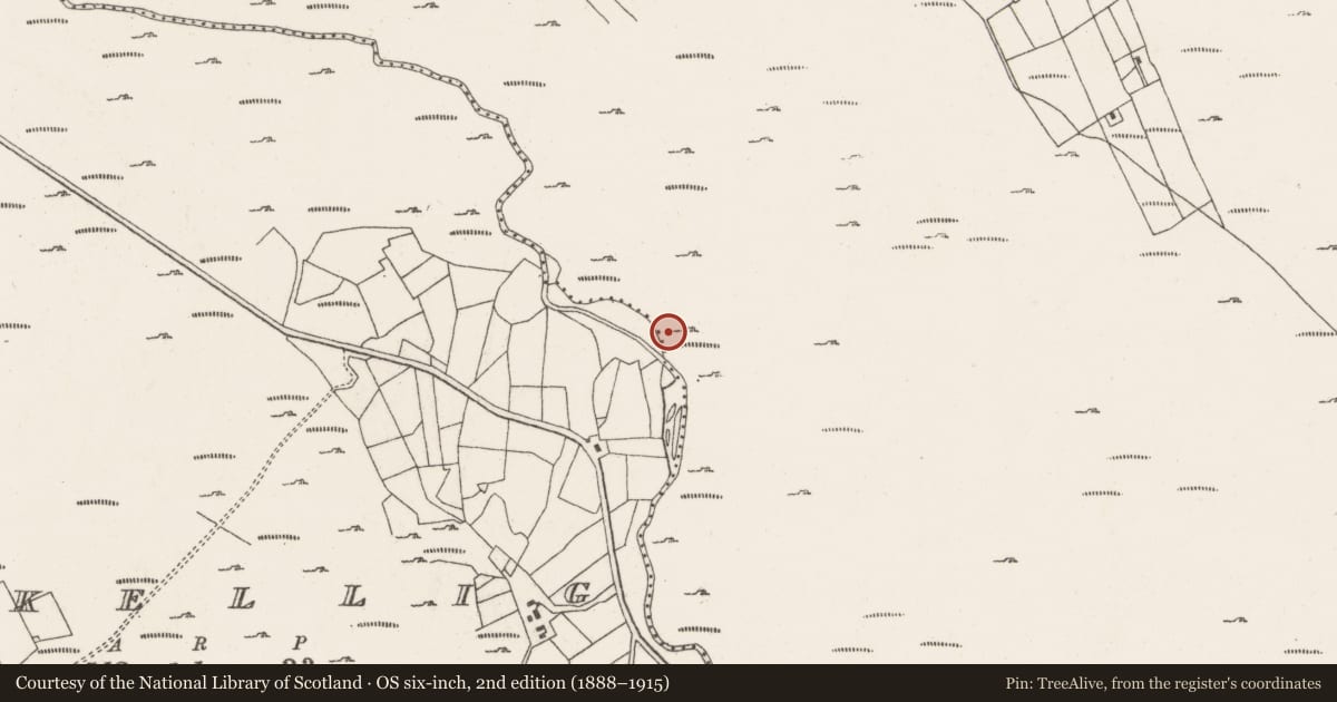 Ordnance Survey six-inch map, 2nd edition (1888–1915) covering the location of Cairn - unclassified, Ardgroom Outward, County Cork, with a pin at the register's coordinates
