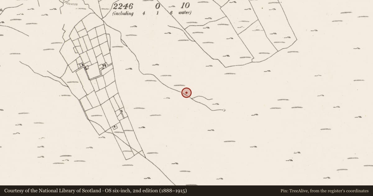 Ordnance Survey six-inch map, 2nd edition (1888–1915) covering the location of Hut site, Ardgroom Outward, County Cork, with a pin at the register's coordinates