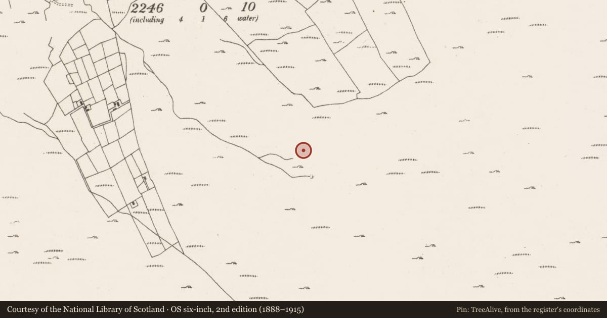 Ordnance Survey six-inch map, 2nd edition (1888–1915) covering the location of Hut site, Ardgroom Outward, County Cork, with a pin at the register's coordinates