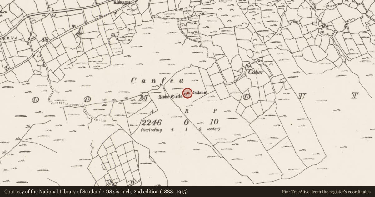 Ordnance Survey six-inch map, 2nd edition (1888–1915) covering the location of Stone circle - multiple-stone, Ardgroom Outward, County Cork, with a pin at the register's coordinates
