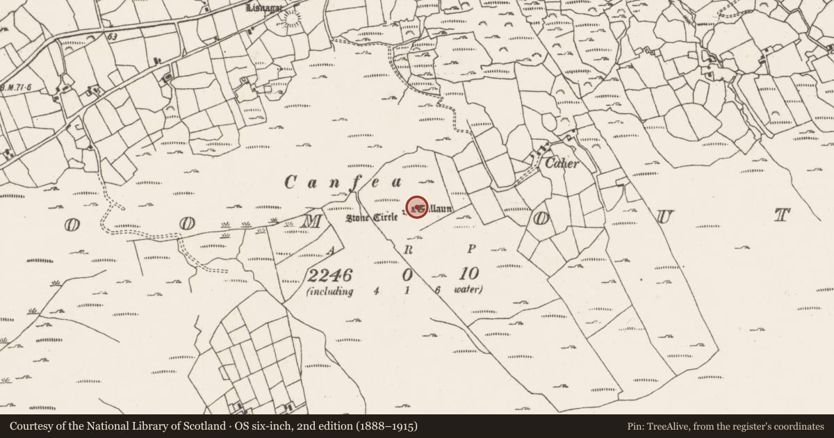 Ordnance Survey six-inch map, 2nd edition (1888–1915) covering the location of Standing stone, Ardgroom Outward, County Cork, with a pin at the register's coordinates