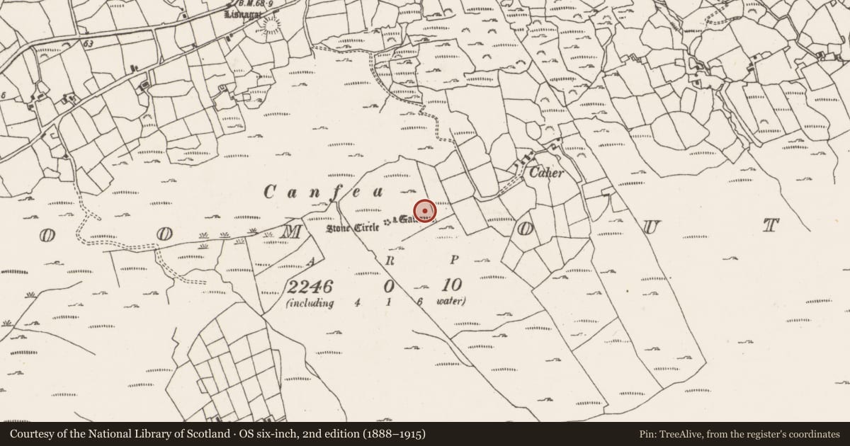 Ordnance Survey six-inch map, 2nd edition (1888–1915) covering the location of Fulacht fia, Ardgroom Outward, County Cork, with a pin at the register's coordinates