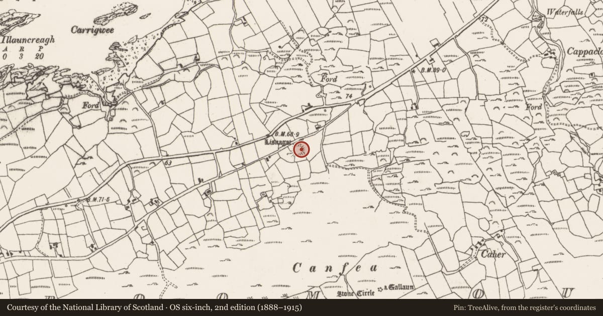 Ordnance Survey six-inch map, 2nd edition (1888–1915) covering the location of Ringfort - rath, Ardgroom Outward, County Cork, with a pin at the register's coordinates