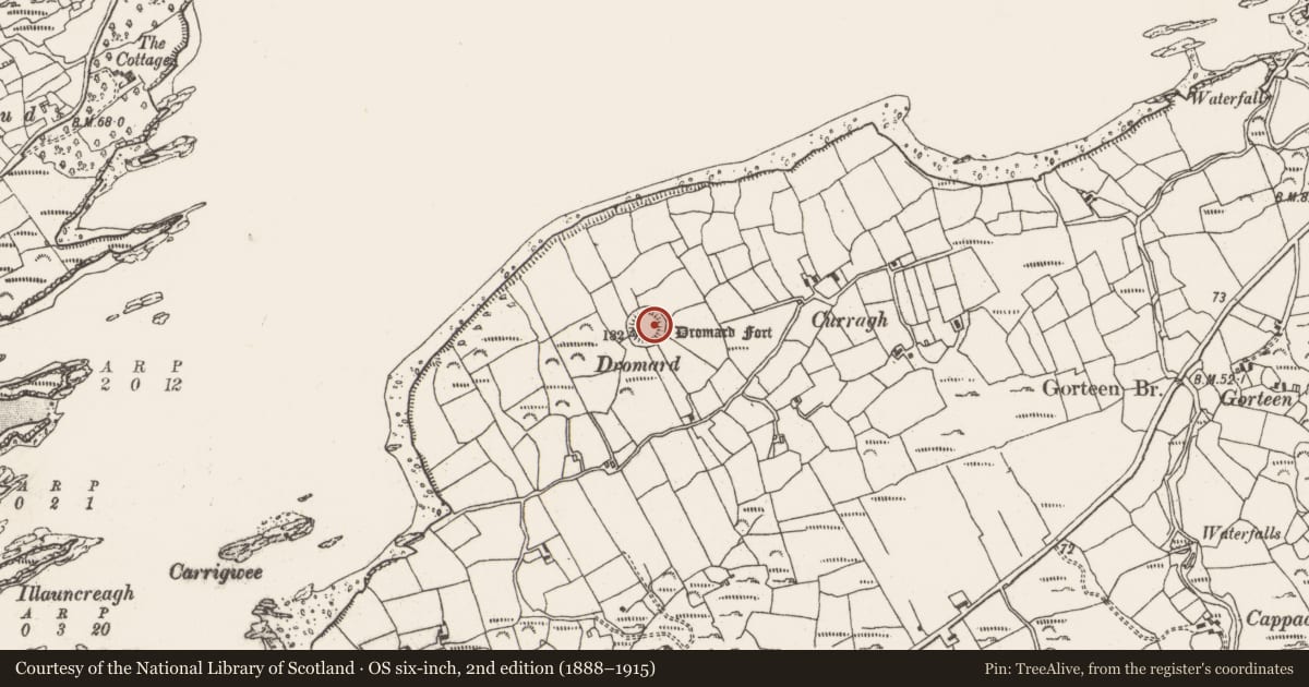 Ordnance Survey six-inch map, 2nd edition (1888–1915) covering the location of Souterrain, Ardgroom Outward, County Cork, with a pin at the register's coordinates