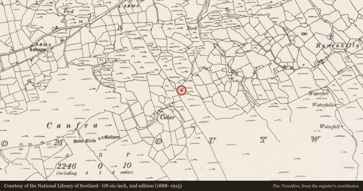Ordnance Survey six-inch map, 2nd edition (1888–1915) covering the location of Standing stone - pair, Ardgroom Outward, County Cork, with a pin at the register's coordinates
