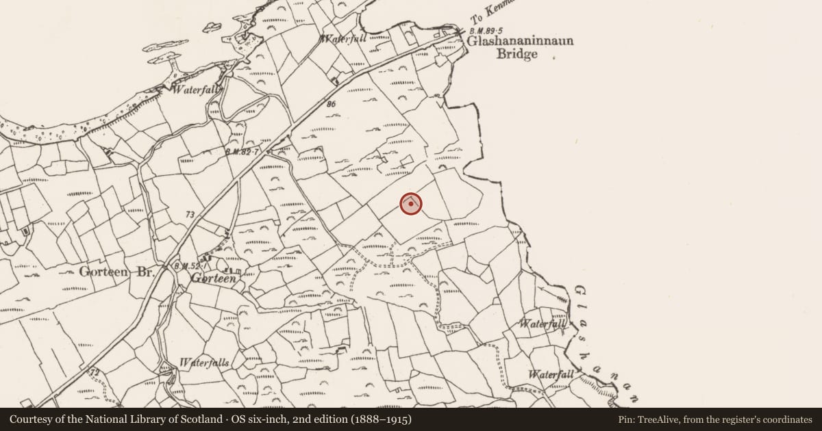 Ordnance Survey six-inch map, 2nd edition (1888–1915) covering the location of Stone circle - multiple-stone, Ardgroom Outward, County Cork, with a pin at the register's coordinates
