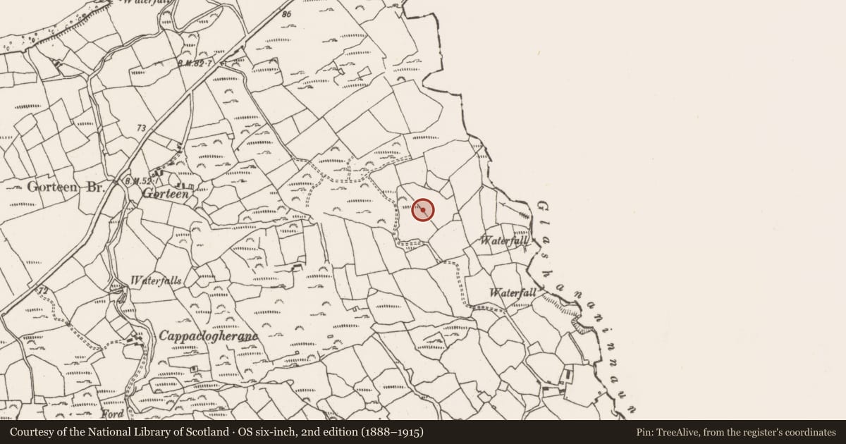 Ordnance Survey six-inch map, 2nd edition (1888–1915) covering the location of Boulder-burial, Ardgroom Outward, County Cork, with a pin at the register's coordinates