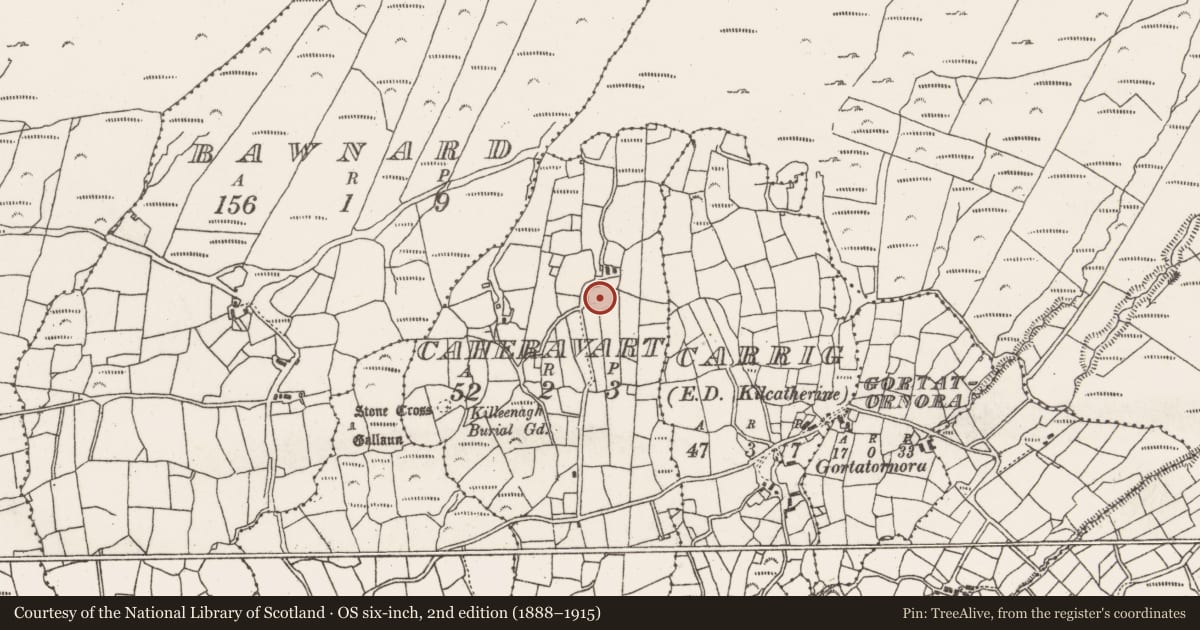 Ordnance Survey six-inch map, 2nd edition (1888–1915) covering the location of Ringfort - rath, Caheravart, County Cork, with a pin at the register's coordinates