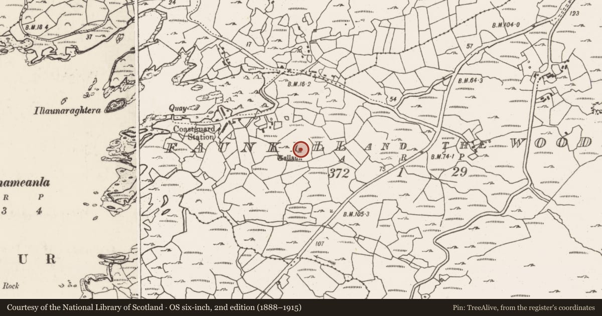 Ordnance Survey six-inch map, 2nd edition (1888–1915) covering the location of Ogham stone, Faunkill-And-The-Woods, County Cork, with a pin at the register's coordinates