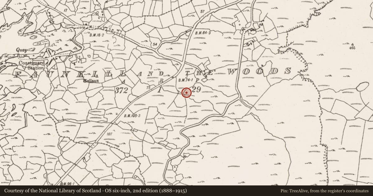 Ordnance Survey six-inch map, 2nd edition (1888–1915) covering the location of Anomalous stone group, Faunkill-And-The-Woods, County Cork, with a pin at the register's coordinates