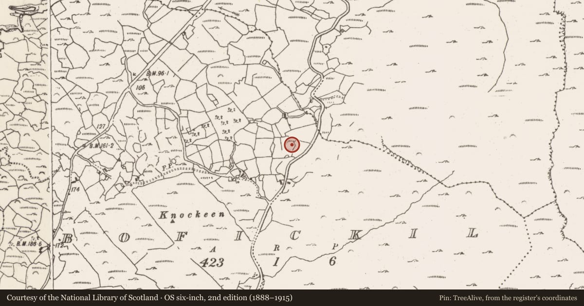 Ordnance Survey six-inch map, 2nd edition (1888–1915) covering the location of Ringfort - cashel, Bofickil, County Cork, with a pin at the register's coordinates