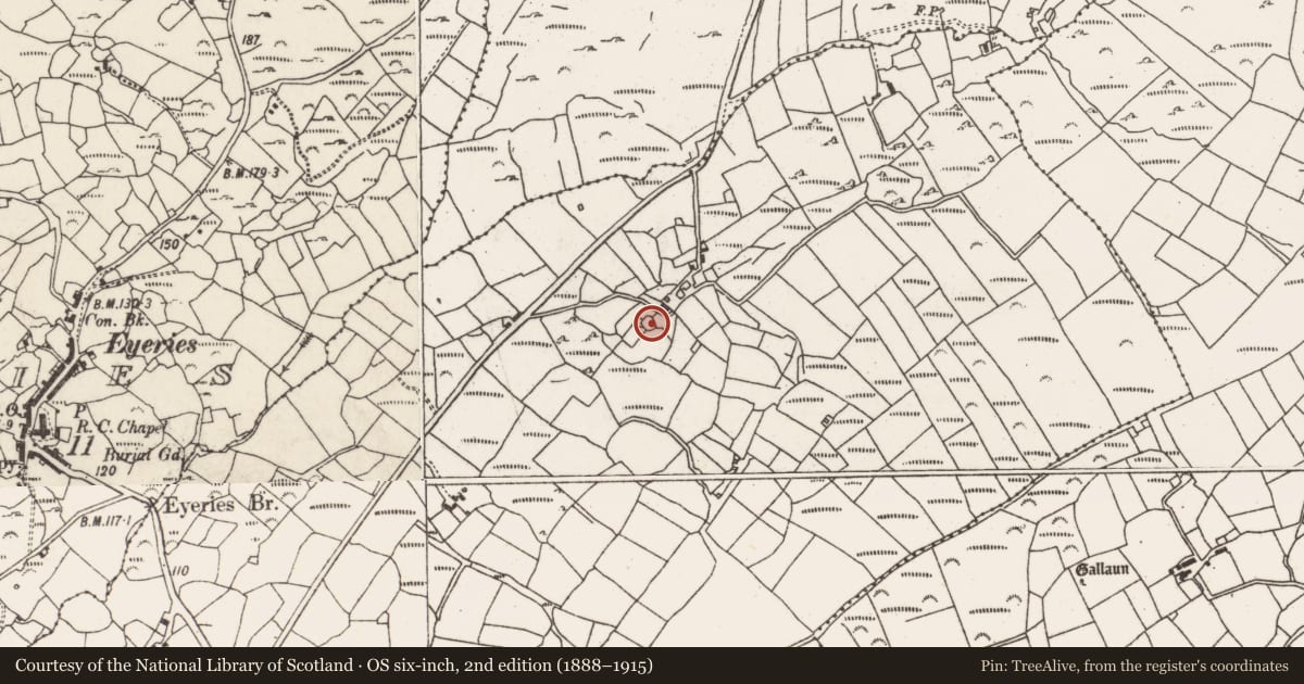Ordnance Survey six-inch map, 2nd edition (1888–1915) covering the location of Souterrain, Inches, County Cork, with a pin at the register's coordinates