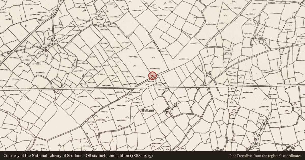 Ordnance Survey six-inch map, 2nd edition (1888–1915) covering the location of Standing stone, Inches, County Cork, with a pin at the register's coordinates