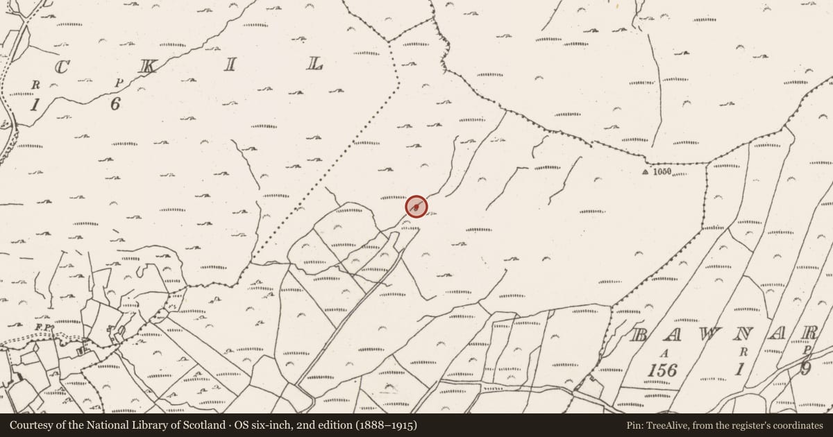 Ordnance Survey six-inch map, 2nd edition (1888–1915) covering the location of Booley hut, Crumpane, County Cork, with a pin at the register's coordinates