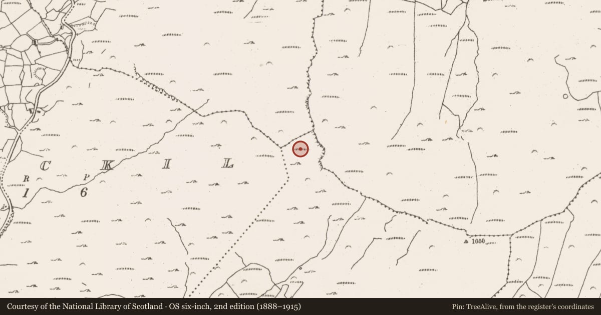 Ordnance Survey six-inch map, 2nd edition (1888–1915) covering the location of Mine - copper, Crumpane, County Cork, with a pin at the register's coordinates