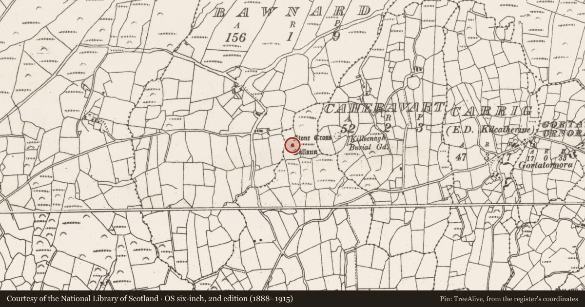 Ordnance Survey six-inch map, 2nd edition (1888–1915) covering the location of Standing stone, Kilmackowen, County Cork, with a pin at the register's coordinates