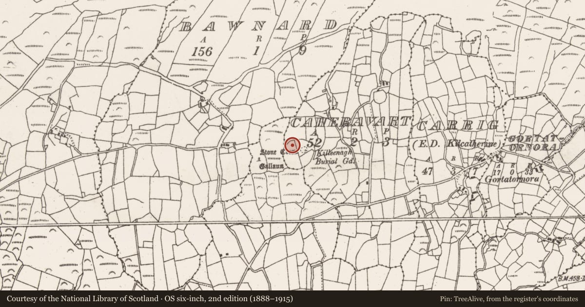Ordnance Survey six-inch map, 2nd edition (1888–1915) covering the location of Hut site, Caheravart, County Cork, with a pin at the register's coordinates