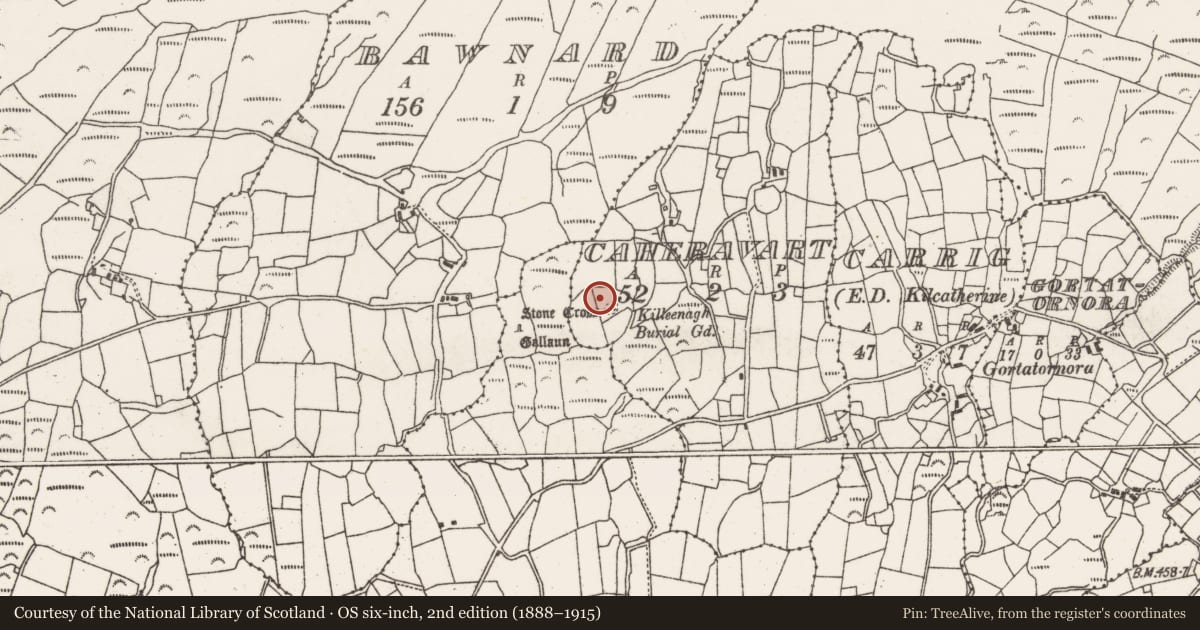 Ordnance Survey six-inch map, 2nd edition (1888–1915) covering the location of Hut site, Caheravart, County Cork, with a pin at the register's coordinates