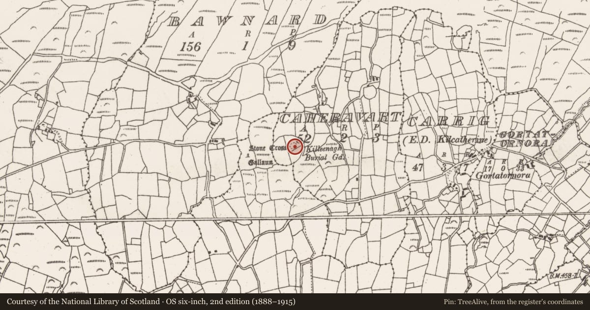 Ordnance Survey six-inch map, 2nd edition (1888–1915) covering the location of Decorated stone, Caheravart, County Cork, with a pin at the register's coordinates