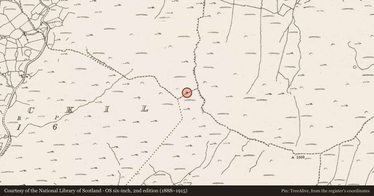 Ordnance Survey six-inch map, 2nd edition (1888–1915) covering the location of Mine - copper, Crumpane, County Cork, with a pin at the register's coordinates