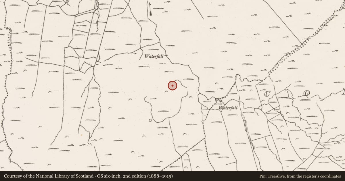 Ordnance Survey six-inch map, 2nd edition (1888–1915) covering the location of Enclosure, Barrees, County Cork, with a pin at the register's coordinates