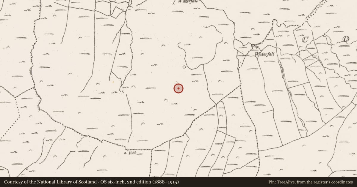 Ordnance Survey six-inch map, 2nd edition (1888–1915) covering the location of Hut site, Barrees, County Cork, with a pin at the register's coordinates