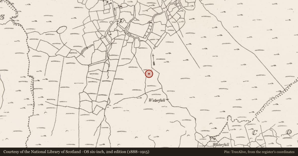 Ordnance Survey six-inch map, 2nd edition (1888–1915) covering the location of Enclosure, Barrees, County Cork, with a pin at the register's coordinates