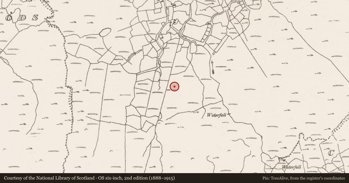 Ordnance Survey six-inch map, 2nd edition (1888–1915) covering the location of Hut site, Barrees, County Cork, with a pin at the register's coordinates