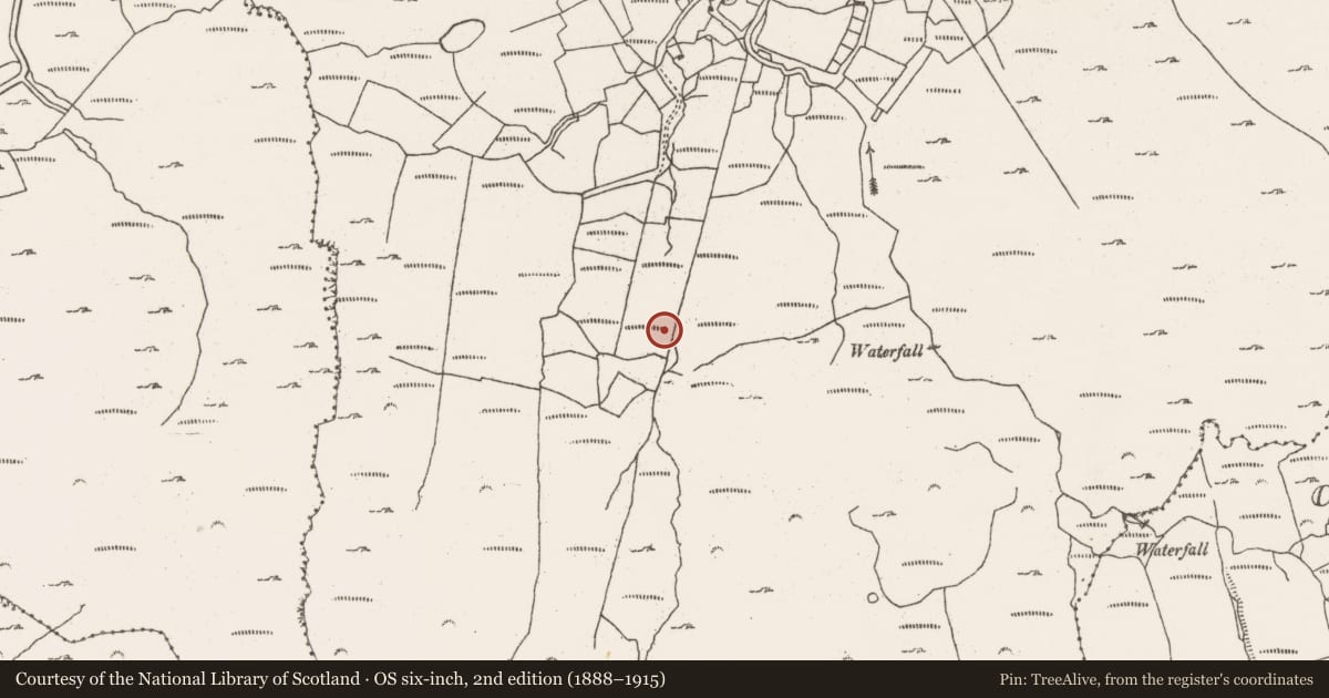 Ordnance Survey six-inch map, 2nd edition (1888–1915) covering the location of House - Bronze Age, Barrees, County Cork, with a pin at the register's coordinates