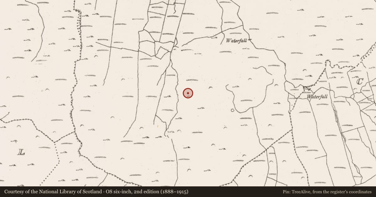 Ordnance Survey six-inch map, 2nd edition (1888–1915) covering the location of Burnt mound, Barrees, County Cork, with a pin at the register's coordinates