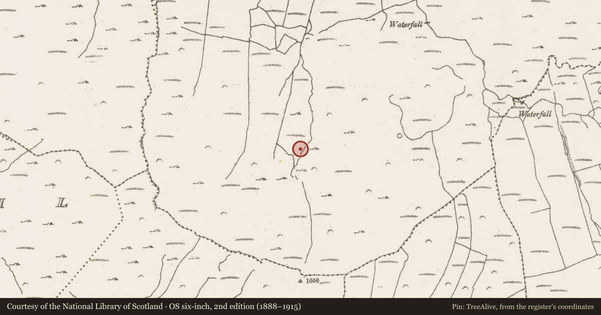Ordnance Survey six-inch map, 2nd edition (1888–1915) covering the location of Fulacht fia, Barrees, County Cork, with a pin at the register's coordinates