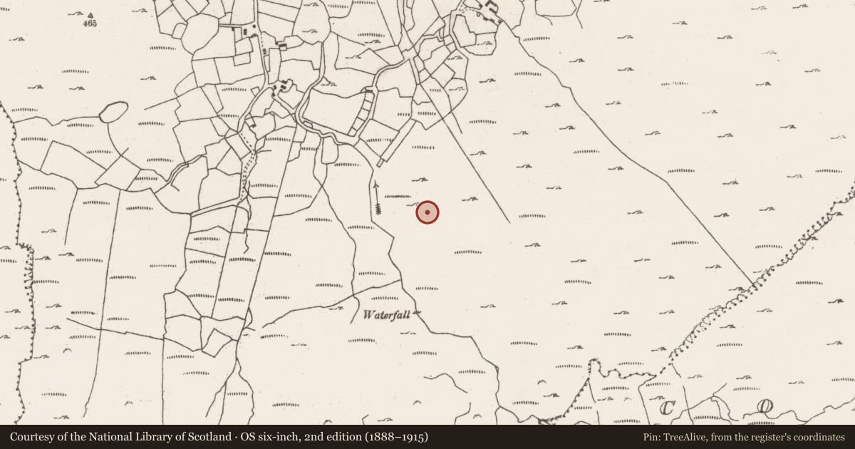 Ordnance Survey six-inch map, 2nd edition (1888–1915) covering the location of Souterrain, Barrees, County Cork, with a pin at the register's coordinates