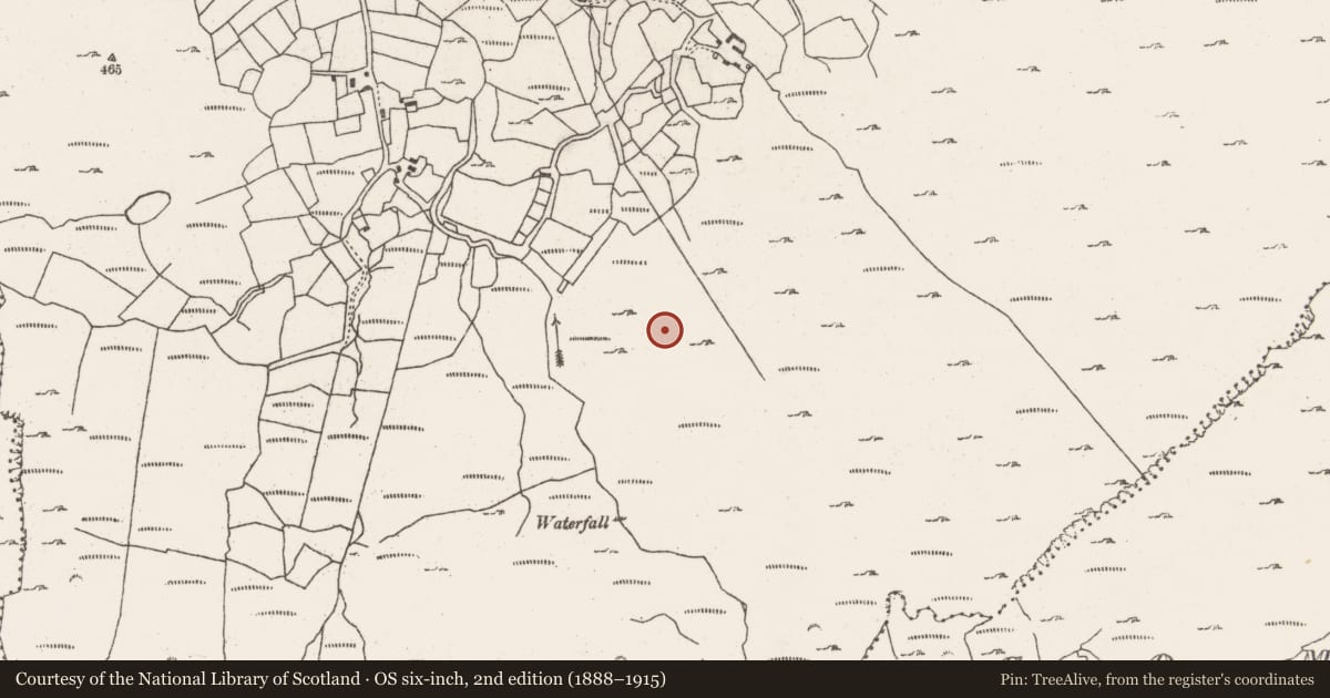 Ordnance Survey six-inch map, 2nd edition (1888–1915) covering the location of Souterrain, Barrees, County Cork, with a pin at the register's coordinates