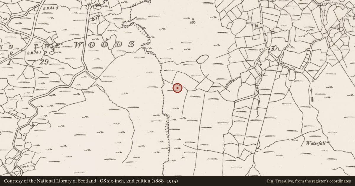 Ordnance Survey six-inch map, 2nd edition (1888–1915) covering the location of Ogham stone, Barrees, County Cork, with a pin at the register's coordinates