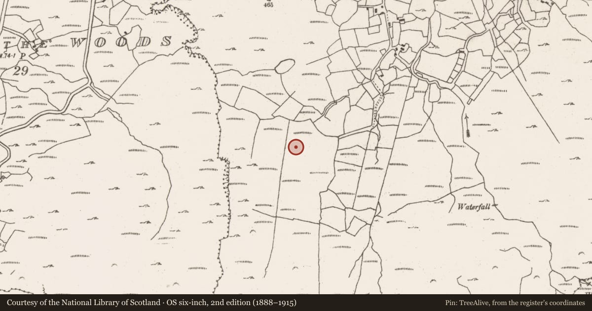 Ordnance Survey six-inch map, 2nd edition (1888–1915) covering the location of Fulacht fia, Barrees, County Cork, with a pin at the register's coordinates