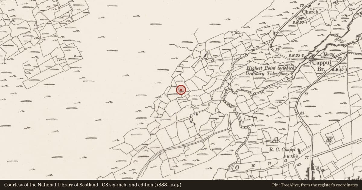 Ordnance Survey six-inch map, 2nd edition (1888–1915) covering the location of Church, Ardgroom Inward, County Cork, with a pin at the register's coordinates